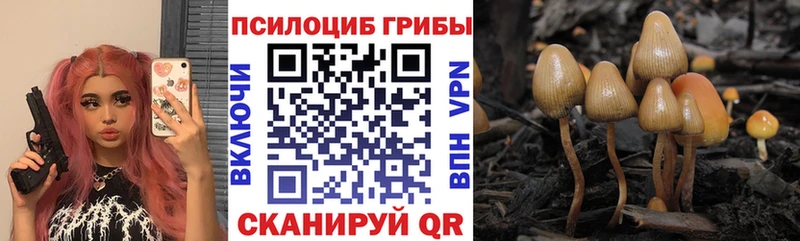 Галлюциногенные грибы GOLDEN TEACHER Ленск